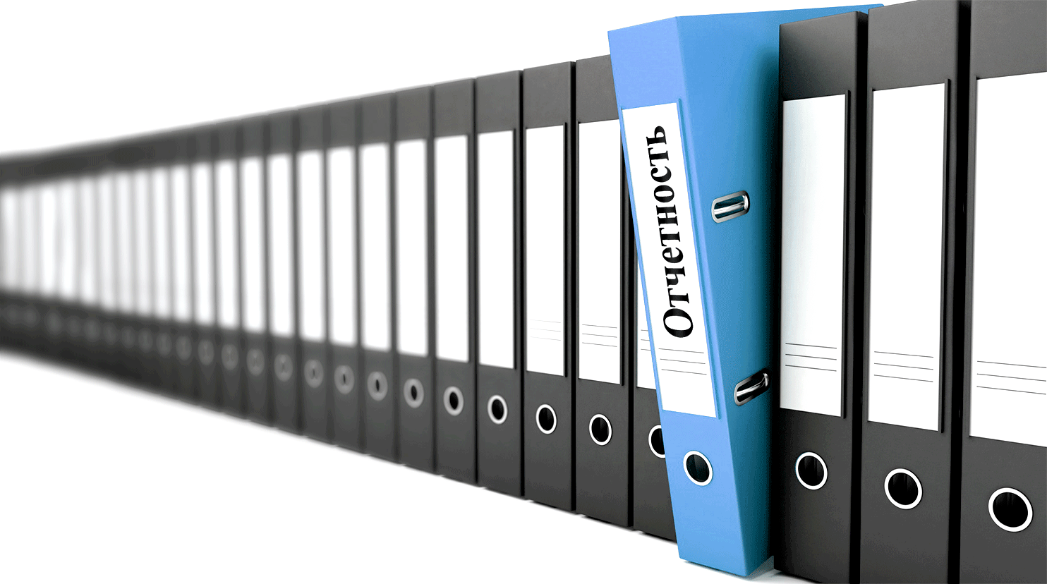 2020 yil uchun davlat statistika hisobotlari shakllari tasdiqlandi 660b9c24a6f36