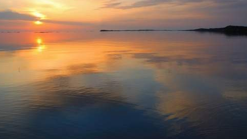 bosh prokuratura tuzilmasida yangi boshqarma tashkil etildi 660ba9f00737e