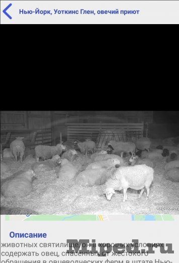 camon d0b8d0bbd0b8 d0bad0b0d0ba d0bfd180d0bed181d0bcd0b0d182d180d0b8d0b2d0b0d182d18c d182d18bd181d18fd187d0b8 d0bed0bdd0bbd0b0d0b9d0bd ip 6610e602a7159