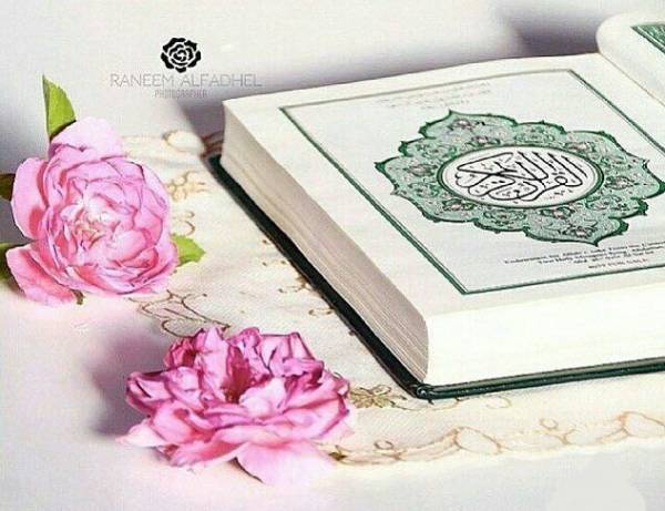 d0b0d181d182d0b0d293d184d183d180d0b8d0bbd0bbd0bed2b3 d18f d180d0b0d0b1d0b1d0b8d0bc d183d0b7d0b1d0b5d0bad187d0b0 d188d0b5d18ad180 660e340e2942c