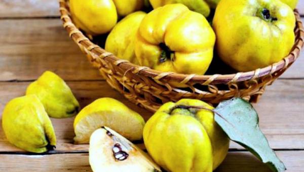 Беҳи мевасининг фойдали ҳусусиятлари ҳамда косметологиядаги ўрни ҳақида 3 Беҳи мевасининг фойдали ҳусусиятлари ҳамда косметологиядаги ўрни ҳақида