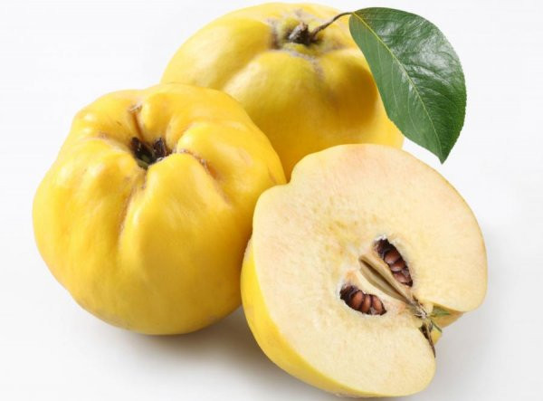 d0b1d0b5d2b3d0b8 d0bcd0b5d0b2d0b0d181d0b8d0bdd0b8d0bdd0b3 d184d0bed0b9d0b4d0b0d0bbd0b8 d2b3d183d181d183d181d0b8d18fd182d0bbd0b0d180 660e39b5caddf