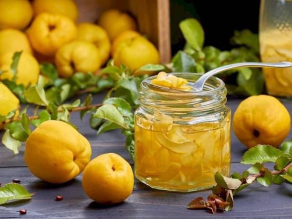 d0b1d0b5d2b3d0b8 d0bcd0b5d0b2d0b0d181d0b8d0bdd0b8d0bdd0b3 d184d0bed0b9d0b4d0b0d0bbd0b8 d2b3d183d181d183d181d0b8d18fd182d0bbd0b0d180 660e39b644197