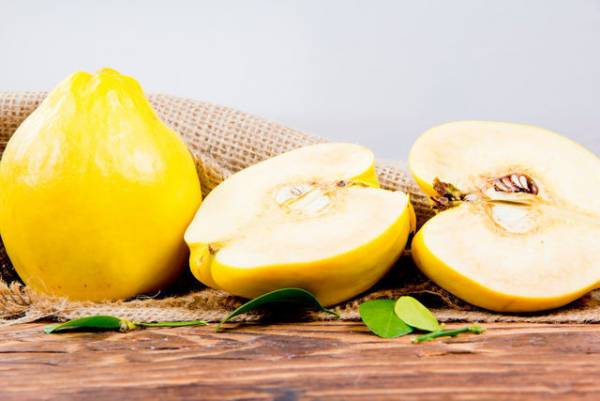 d0b1d0b5d2b3d0b8 d0bcd0b5d0b2d0b0d181d0b8d0bdd0b8d0bdd0b3 d184d0bed0b9d0b4d0b0d0bbd0b8 d2b3d183d181d183d181d0b8d18fd182d0bbd0b0d180 660e39b65fd7d