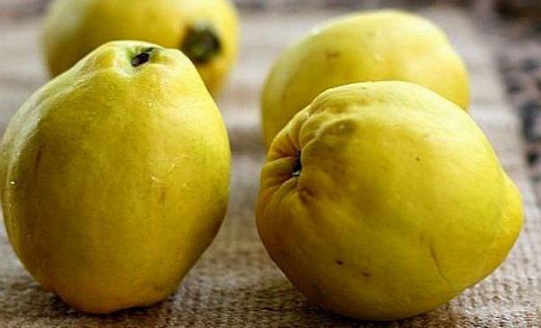 Беҳи мевасининг фойдали ҳусусиятлари ҳамда косметологиядаги ўрни ҳақида 14 d0b1d0b5d2b3d0b8 d0bcd0b5d0b2d0b0d181d0b8d0bdd0b8d0bdd0b3 d184d0bed0b9d0b4d0b0d0bbd0b8 d2b3d183d181d183d181d0b8d18fd182d0bbd0b0d180 660e39b6a5aae