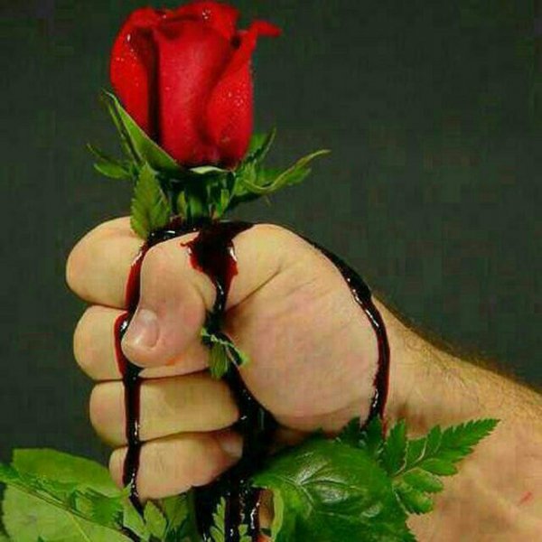 d0b3d183d0bb d182d0b0d0bdd0b0d181d0b8d0b4d0b0d0b3d0b8 d182d0b8d0bad0bed0bdd0b4d0b0d0bd d181d183d180d0b0d0b1d0b4d0b8 660f0ce36b288