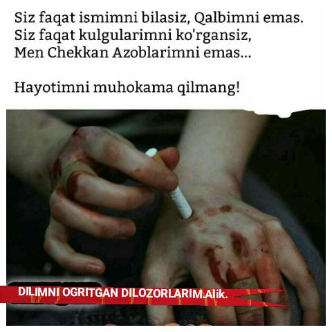 d0b4d0b8d0bbd0bed0b7d0bed180d0bbd0b0d180d0b8d0bc d183d0b7d0b1d0b5d0bad187d0b0 d188d0b5d18ad180 660e33e1c1020