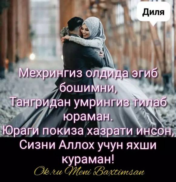 d0b9d19ed29b d18dd0bdd0b4d0b8 d29bd0b0d0bbd0b1d0b8d0bdd0b3d0b4d0b0d0bd d187d0b8d29bd0b0d180d0bed0bbd0bcd0b0d0b9d181d0b0d0bd 660e2f33a7134