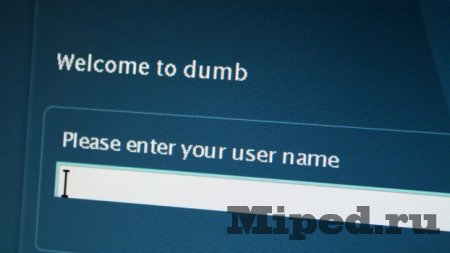 Как выбрать свободное название с помощью Namecheckr