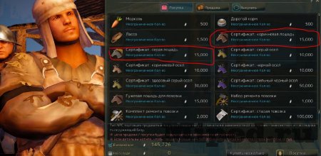 Как заработать серебро в Black Desert на раннем этапе прокачки