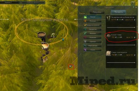 Как заработать серебро в Black Desert на раннем этапе прокачки