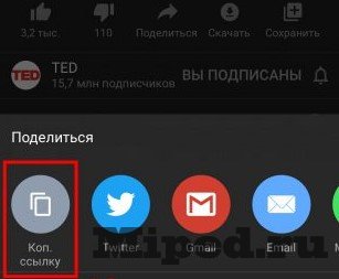 Как легко скачать видео на Iphone или Ipad c помощью Safari 3 Как легко скачать видео на Iphone или Ipad c помощью Safari