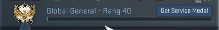Как получить медаль за службу 2015 в CS: GO Как получить медаль за службу 2015 в CS: GO