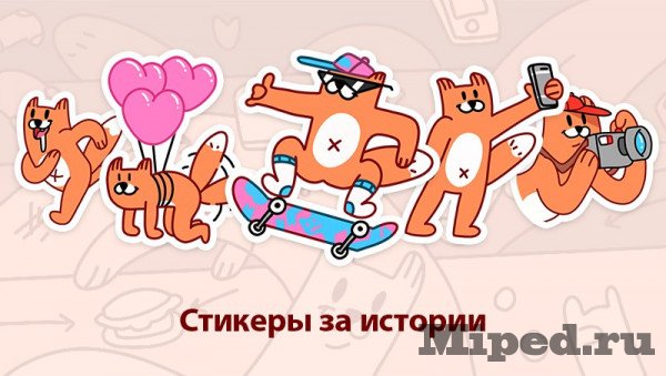 d0bad0b0d0ba d0bfd0bed0bbd183d187d0b8d182d18c d181d182d0b8d0bad0b5d180d18b d0bbd0b8d181 d0b2 d181d0bed186d0b8d0b0d0bbd18cd0bdd0bed0b9 6610f68c1011f