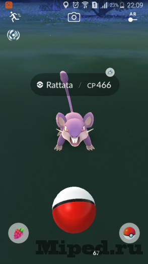 d0bad0b0d0ba d0bfd180d0bed0bfd183d181d182d0b8d182d18c d0bcd0b5d0bdd18e d0bfd0bed0b8d0bcd0bad0b8 d0b2 pokemon go 6610eea866661