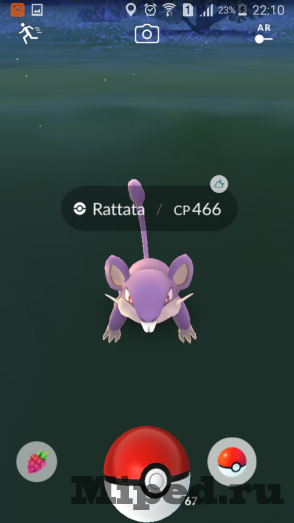 d0bad0b0d0ba d0bfd180d0bed0bfd183d181d182d0b8d182d18c d0bcd0b5d0bdd18e d0bfd0bed0b8d0bcd0bad0b8 d0b2 pokemon go 6610eea8d8b64