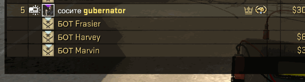 Как сделать анимированный ник в CS:GO