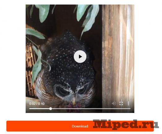 d0bad0b0d0ba d181d0bad0b0d187d0b0d182d18c d0b2d0b8d0b4d0b5d0be d181 reddit 6610ec3d37a9f