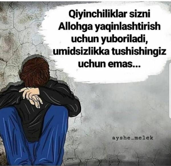 d0bad0b8d0b9d0b8d0bdd187d0b8d0bbd0b8d0bad0bbd0b0d180 d181d0b8d0b7d0bdd0b8 660ebd18d9f8a