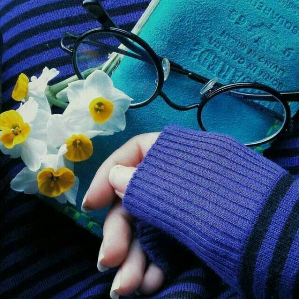 Кун совушни бошлади... 3 Кун совушни бошлади...