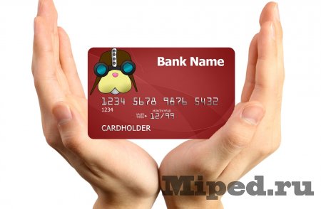 d0bcd0b0d0bad181d0b8d0bcd0b0d0bbd18cd0bdd0be d18dd0bad0bed0bdd0bed0bcd0b8d0bc d0bdd0b0 d0bfd0bed0bad183d0bfd0bad0b0d185 d181