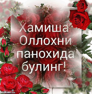 d0bcd0b5d0bdd0b4d0b0d0bd d0b8d0b1d0bed0b4d0b0d182d183 d181d0b5d0bdd0b4d0b0d0bd d0b8d0b6d0bed0b1d0b0d182 d183d0b7d0b1d0b5d0bad187d0b0 660e59f7d91eb