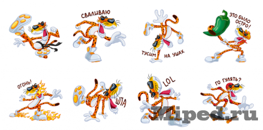 d0bfd0bed0bbd183d187d0b0d0b5d0bc d0bdd0b0d0b1d0bed180 d181d182d0b8d0bad0b5d180d0bed0b2 d187d0b5d181d182d0b5d180 d0b2 d181d0be 6610e9371cbc9