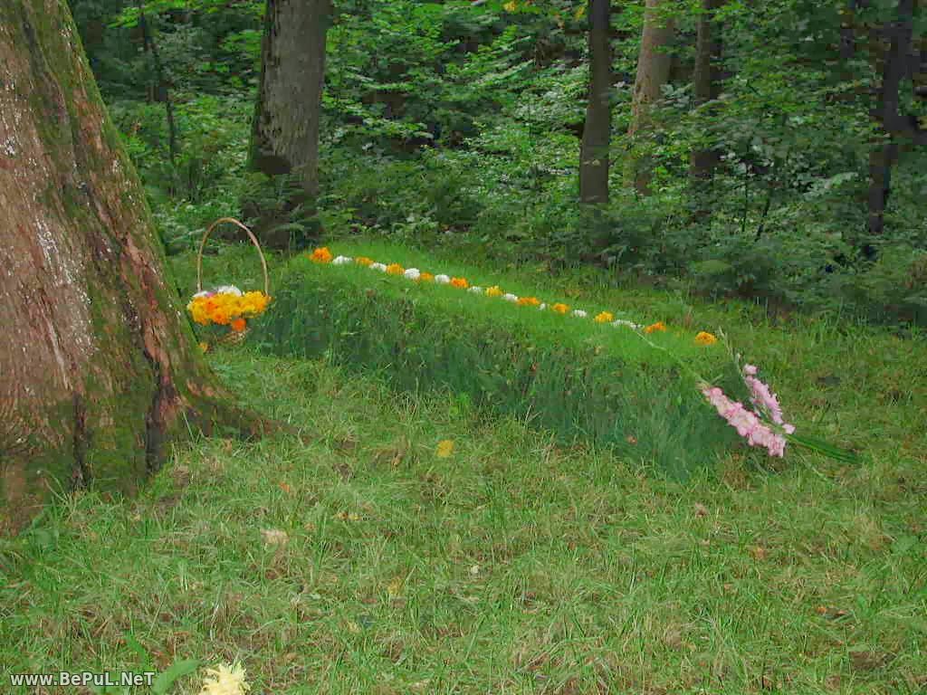 d180d19ed188d0bdd0bed0bbd0b8d0ba d0bad19ed180d0bcd0b0d0b3d0b0d0bd d0bed0bfd0b0d0bc d2b3d0b8d0bad0bed18f 660e805a4291a