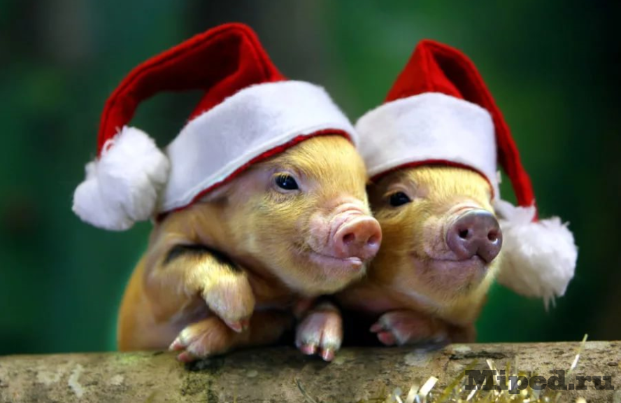 d181 d0bdd0bed0b2d18bd0bc d0b3d0bed0b4d0bed0bc d0b4d0bed180d0bed0b3d0b8d0b5 d0bdd0b0d188d0b8 d0bfd0bed0bbd18cd0b7d0bed0b2d0b0d182d0b5 6610eb639e3c1