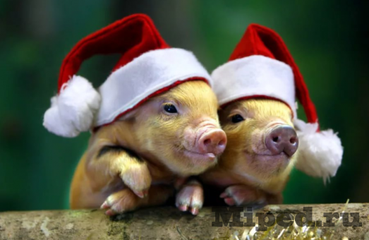 d181 d0bdd0bed0b2d18bd0bc d0b3d0bed0b4d0bed0bc d0b4d0bed180d0bed0b3d0b8d0b5 d0bdd0b0d188d0b8 d0bfd0bed0bbd18cd0b7d0bed0b2d0b0d182d0b5 6610eb64993e4