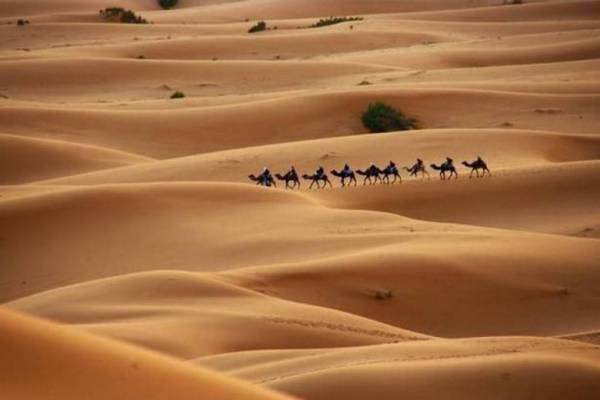 d181d0b8d180d0bbd0b8 d0b2d0b0 d184d183d181d183d0bdd0bad0bed180 d181d0b0d180d0bed0b9d0bbd0b0d180 d18ed180d182d0b8 d0bcd0b0d180d0bed0ba 660e39da5b34b