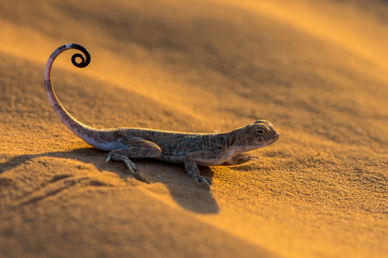 d182d183d188d0b4d0b0 d0bad0b0d0bbd182d0b0d0bad0b5d181d0b0d0ba d0bad0bed180d181d0b0 d182d183d188d0b4d0b0 d0bad0b0d0bbd182d0b0d0bad0b5 660e9794c1a4c