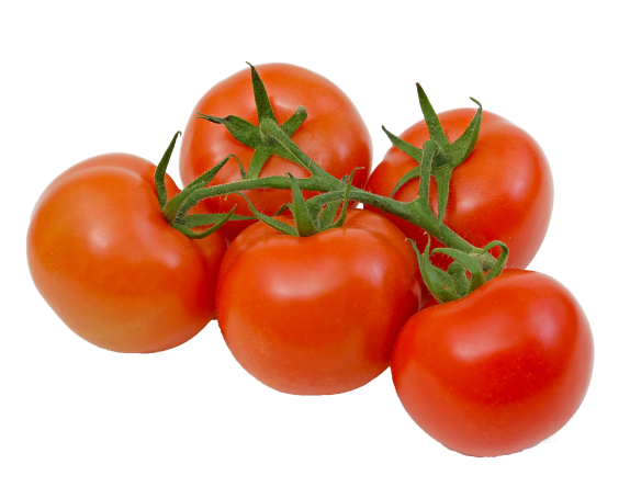 d182d183d188d0b4d0b0 d0bfd0b0d0bcd0b8d0b4d0bed180 d0bad183d180d181d0b0 d0bdd0b8d0bcd0b0d0bdd0b8 d0b1d0b8d0bbd0b4d0b8d180d0b0d0b4d0b8 660e60e671f20