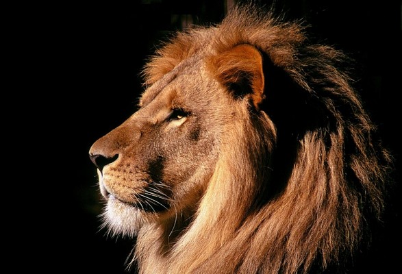 d182d183d188d0b4d0b0 d188d0b5d180 d0bdd0b8d0bcd0b0d0bdd0b8 d0b0d0bdd0b3d0bbd0b0d182d0b8d188d0b8 d185d0b0d0bad0b8d0b4d0b0 d182d183d188 660e6094cbca6