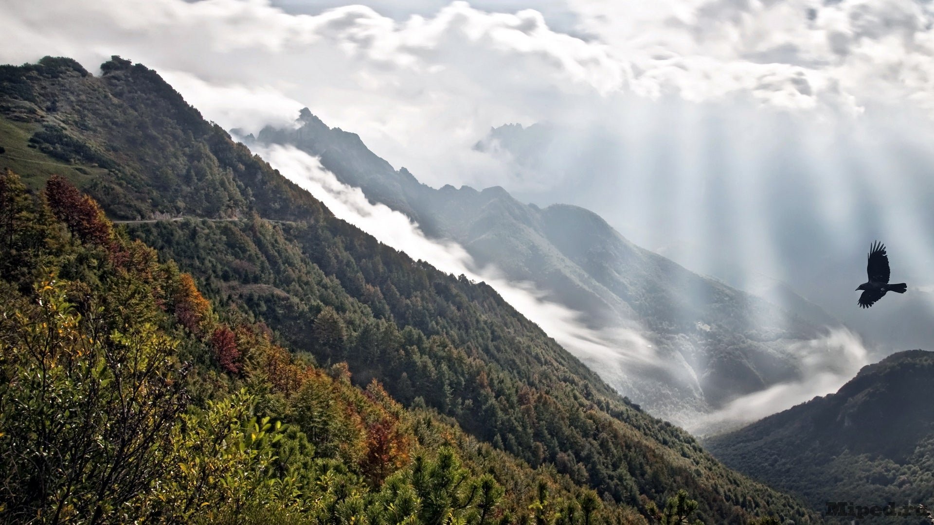 d183d0b2d0b5d0bbd0b8d187d0b8d0b2d0b0d0b5d0bc d180d0b0d0b7d180d0b5d188d0b5d0bdd0b8d0b5 d184d0bed182d0bed0b3d180d0b0d184d0b8d0b8 d0b8 6610b945ed685