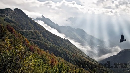 d183d0b2d0b5d0bbd0b8d187d0b8d0b2d0b0d0b5d0bc d180d0b0d0b7d180d0b5d188d0b5d0bdd0b8d0b5 d184d0bed182d0bed0b3d180d0b0d184d0b8d0b8 d0b8 6610b9470caf9