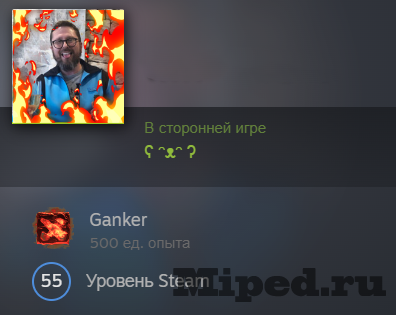 Устанавливаем кастомный статус в Steam 3 Устанавливаем кастомный статус в Steam