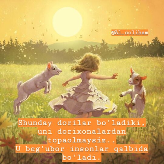 d188d183d0bdd0b4d0b0d0b9 d0b4d0bed180d0b8d0bbd0b0d180 d0b1d19ed0bbd0b0d0b4d0b8d0bad0b8 660e34249378a