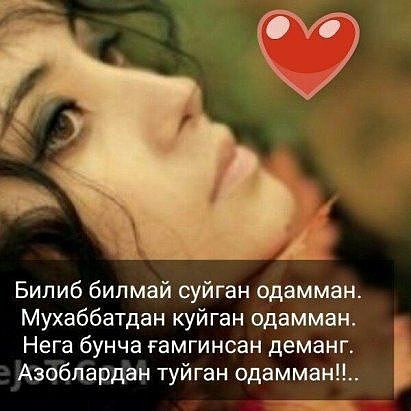 d18ed180d0b0d0ba d183d0b7d0b1d0b5d0bad187d0b0 d188d0b5d18ad180 660e568f09426