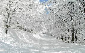 d29bd0bed180d0bbd0b8 d0b9d19ed0bb d2b3d0b8d0bad0bed18f 660e7a0d58c66