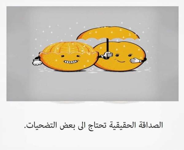 d2b3d0b0d29bd0b8d29bd0b8d0b9 d0b4d19ed181d182d0bbd0b8d0ba 660e342fb15e0