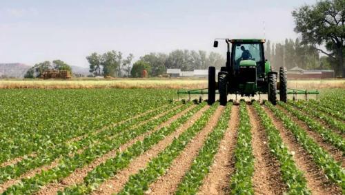 huquqbuzarliklar profilaktikasi va dehqonlar uchun qoidalar 660b8945d1f1d