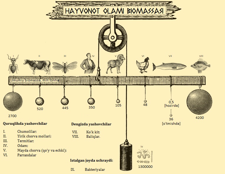 kim qancha tosh bosadi 660ef146c446d