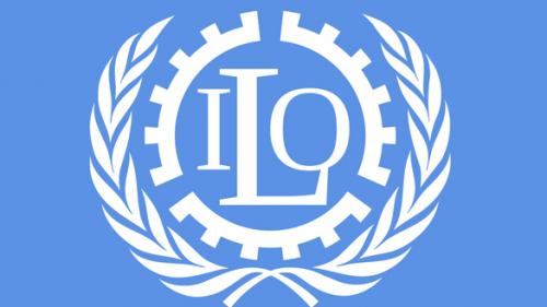 majburiy mehnatga barham berish ishlari davom ettiriladi 660ba73f3f0e7