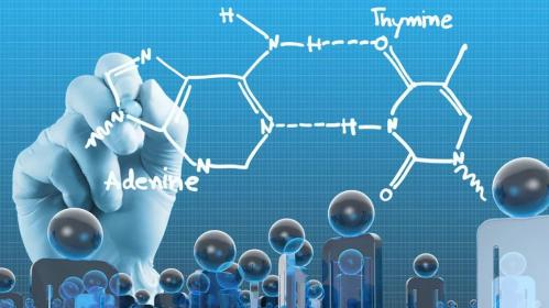 mart oyida kichik kord185onalar tanlama kuzatuvi ocabbtkaziladi 660bd88dbebed