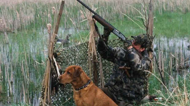 ovchilikka oid 10 ta qonunosti hujjatlarining normalari bitta qonunda jamlanadi 660ba77ccc047