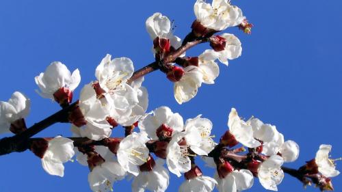 shanba ish kuni dushanba dam olish kuni deb elon qilindi 660bd7e0f1c70