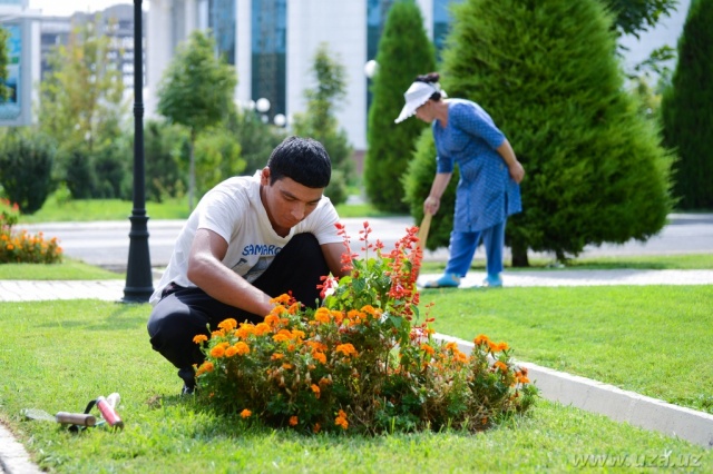 umumd185alq d185ayriya hashari 19 20 avgust kunlari bocabblib ocabbtadi 660bd209a8589