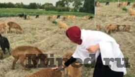 unwanted object remover d0b8d0bbd0b8 d0bad0b0d0ba d0b1d18bd181d182d180d0be d183d0b4d0b0d0bbd0b8d182d18c d0b2d0bed0b4d18fd0bdd18bd0b5 d0b7d0bd 6610e8efd091c