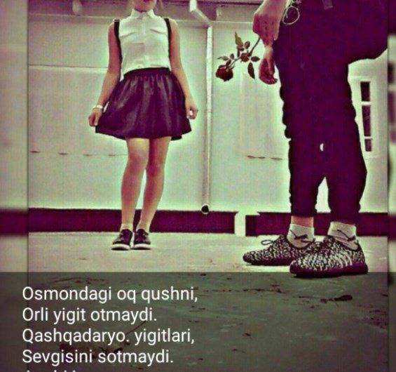 d0bad0b0d188d0bad0b0d0b4d0b0d180d191 d0b9d0b8d0b3d0b8d182d0bbd0b0d180d0b8 d181d0b5d0b2d0b3d0b8d181d0b8d0bdd0b8 d181d0bed182d0bcd0b0 660ebd4dbece4